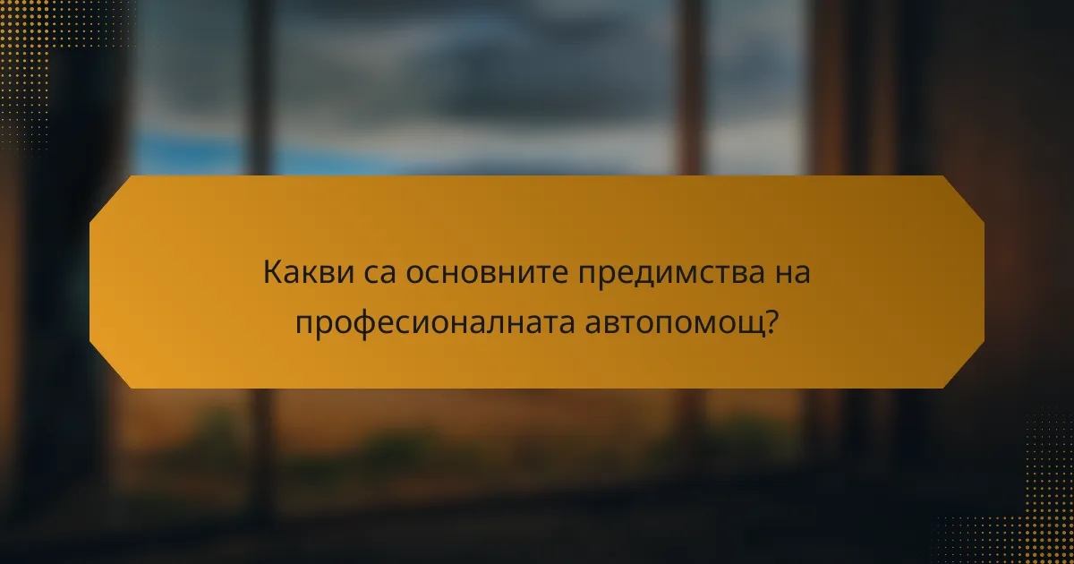 Какви са основните предимства на професионалната автопомощ?